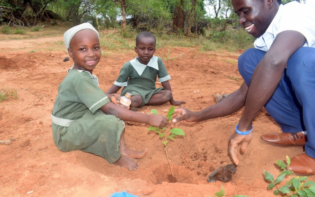 Der schönste ISTAF-Sieg: 22 Baumschul-Projekte in Sambia